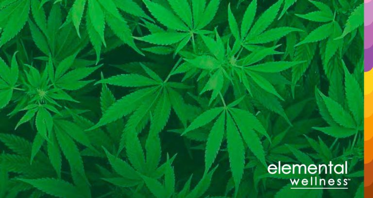 Read more about the article Κατανοώντας την ιατρική χρήση της κάνναβης