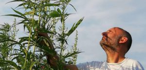 Read more about the article Μία συνάντηση με χρήστες θεραπευτικής κάνναβης – Μίλησαν στη “ΜτΚ” για την εμπειρία τους