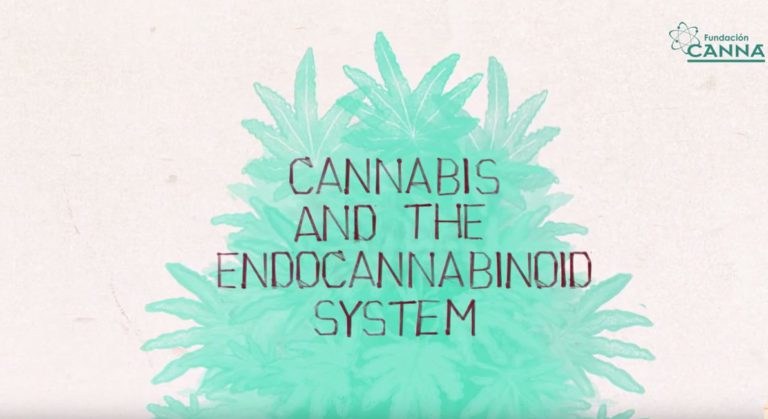 Read more about the article Η Κάνναβη και το Ενδοκανναβινοειδές Σύστημα