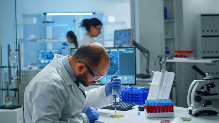 Read more about the article Έρευνες για την κάνναβη 2019