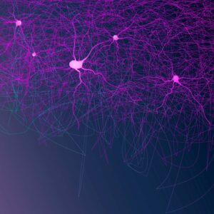 Read more about the article Νέες πληροφορίες για το Ενδοκανναβινοειδές Σύστημα